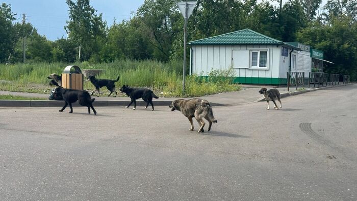 � ����������� ��������� �� ����� �������� ����� � ������ �� ���������. ��� ����������