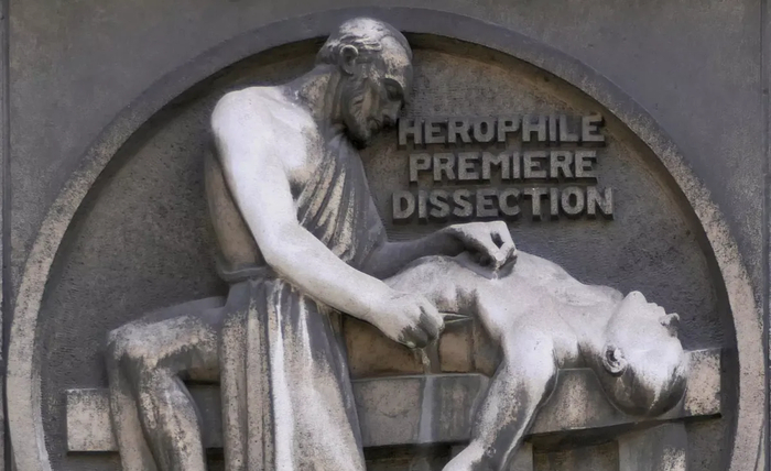 �������� �� ������� �������� �������, ������������ ������ ��������, �� ������ ��������� ����������� �����