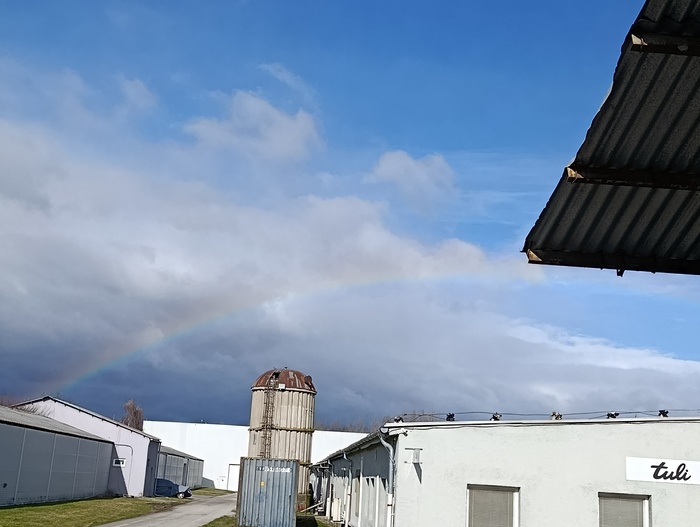 Радуга сегодня