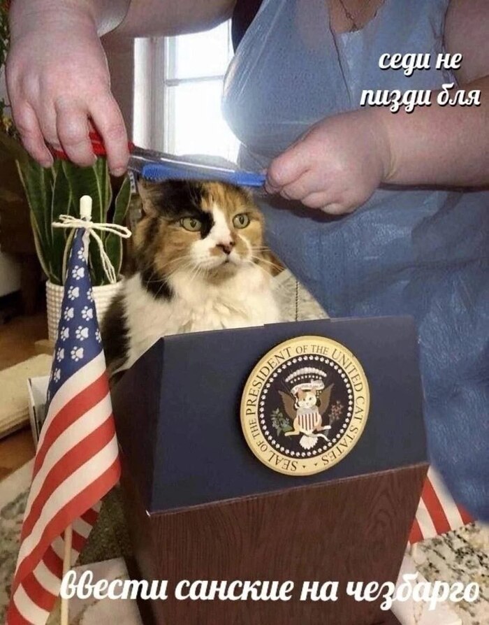 ����� ��� ��� �������� ��������� ��������