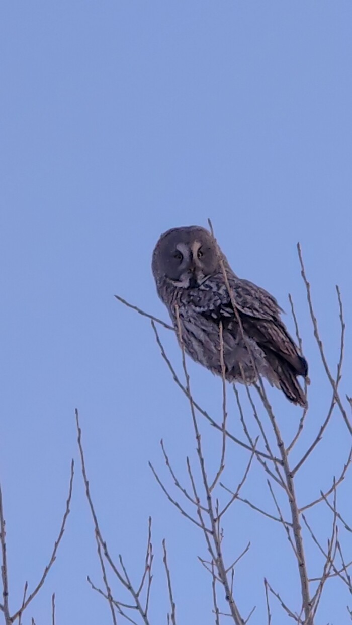 �������. ���������. ����� �������� � �����.