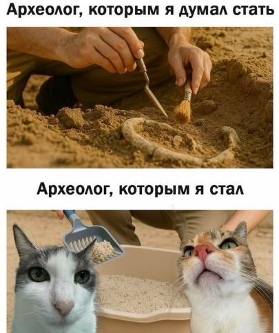 ���: ����� �� ��������� � ���� �����? ��� �� ��� ������ �����?