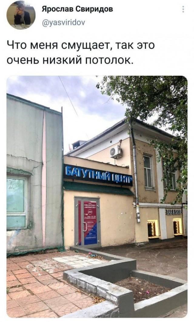 ����������� ��� �����������)