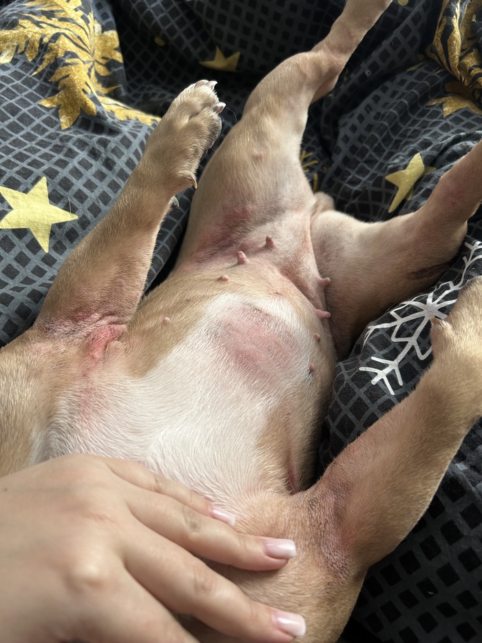 ���������� ����������� ���� 