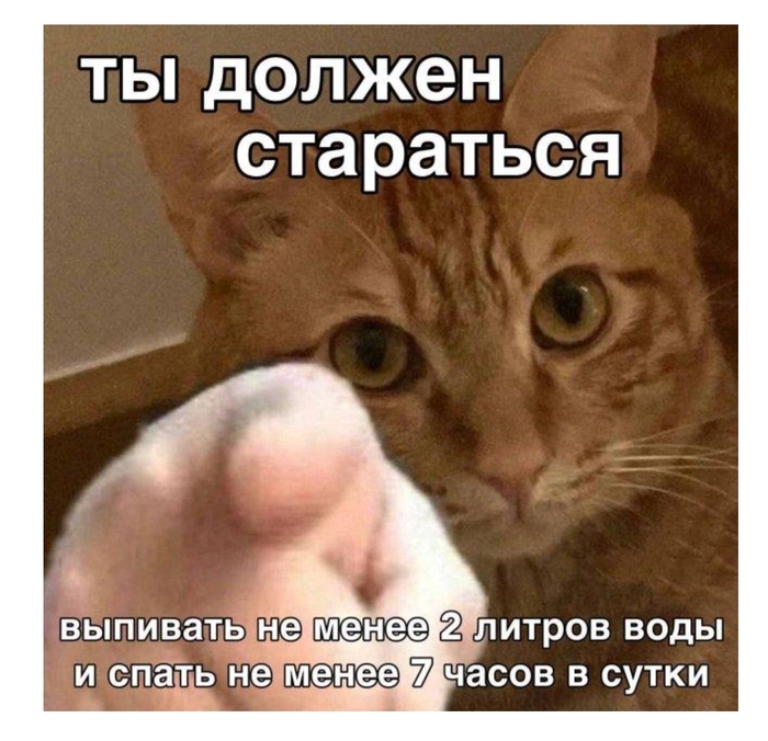 Кто работал (работает) на эвакуаторе? Есть ли смысл там работать в Мск? Уровень реального дохода?Минусы и плюсы