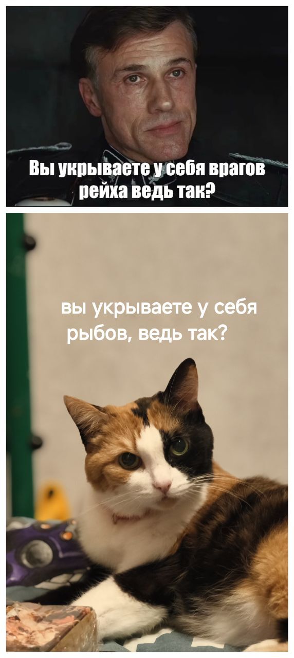 ����� ���������� ������