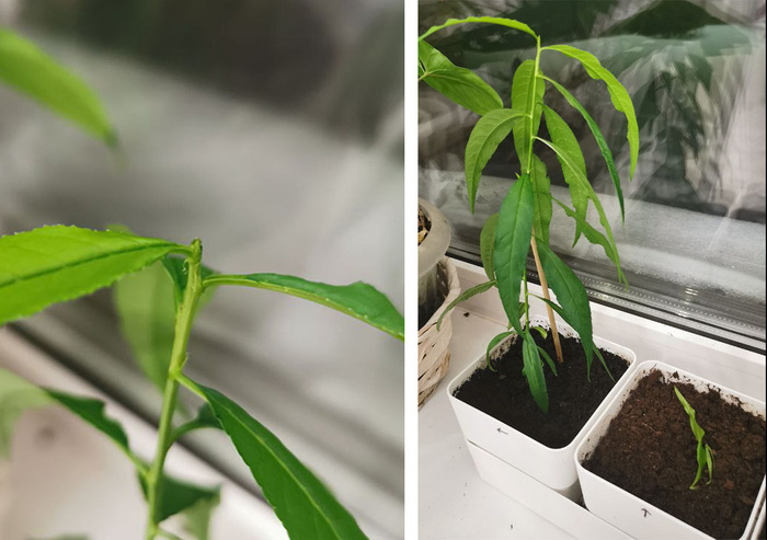 10 ������. ������ �������� ��� �������� ������ �������� � ������� � ��������� �������� ������...