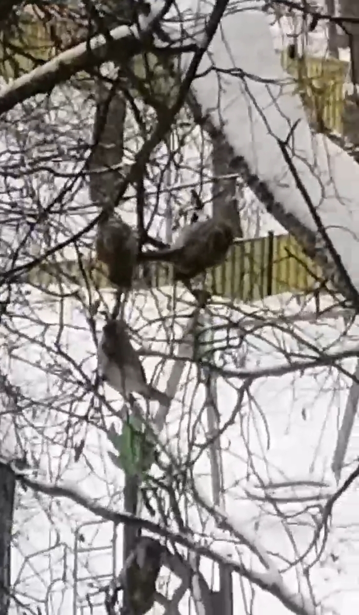 �������� �� �����