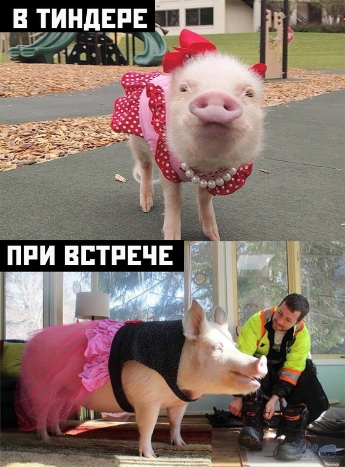 � ������� ������ �� ��� ������������...