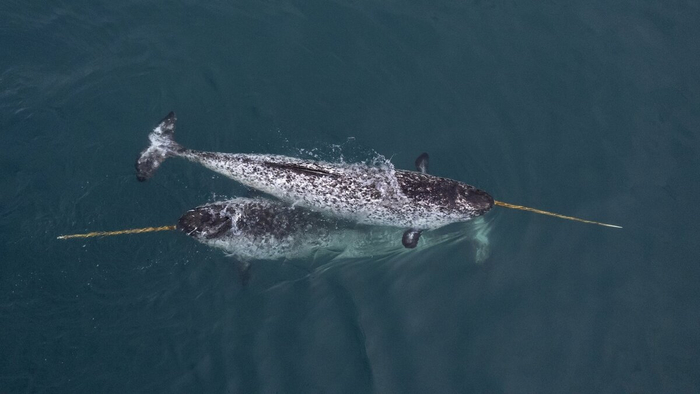 ����� ��������. ��� ���� ������?