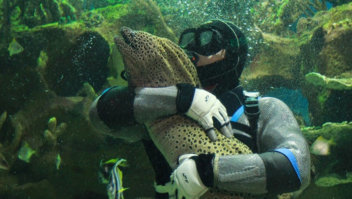 ���, �� ������ ������, ��� ����� ������ ������������?