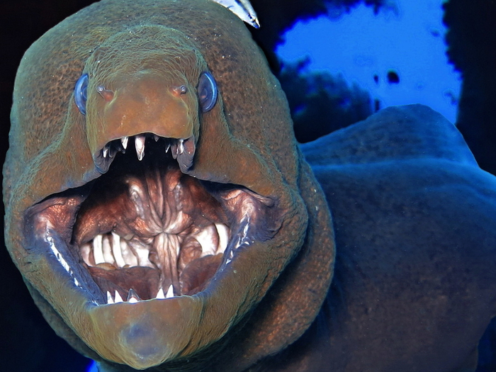 ����� �� ������ �������� ������ ���� ���� ����� ����������, �� ����� �������� ���� �� ����������� � ����� ���������� ��������.