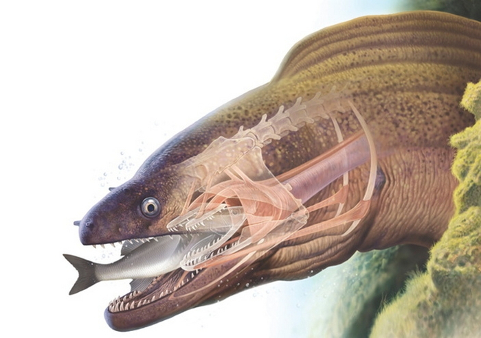 ��� � ���������� ������� � �������� ��������.