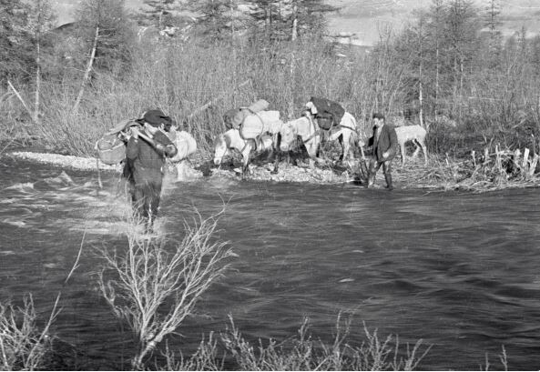 ������� �� ������