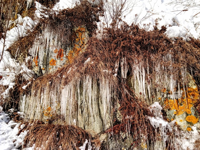 ����� �����.