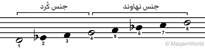 ����� ����