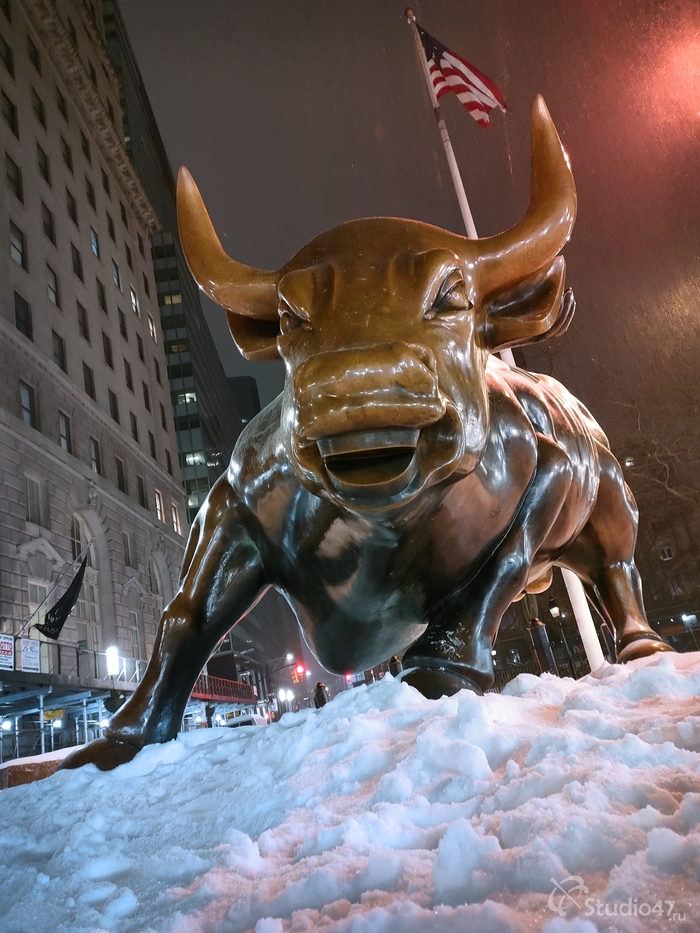 Charging Bull