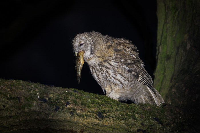 ��, ������ ��, �����, ���� ���������...� ������ ����� � ���������� ���� ����.