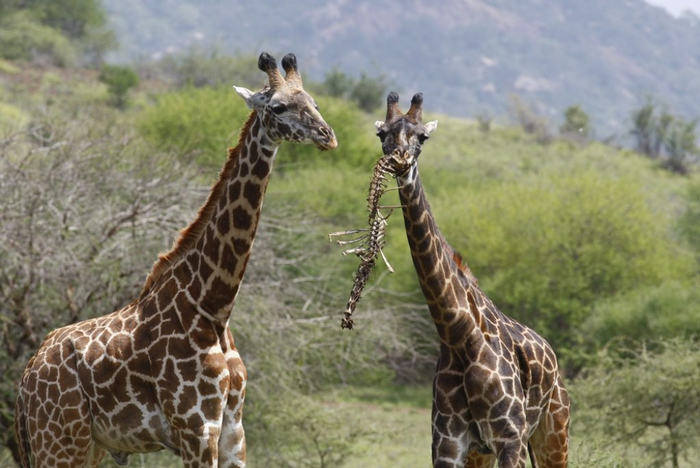 � ���, � ���� � ����� ����� ��������. � ��, � ����, ��� � ������ ����.