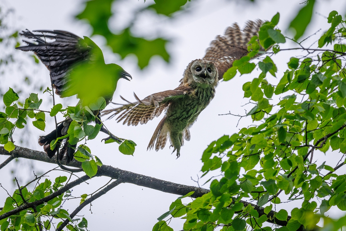 ��������� �������� ����������� �� ��������� � ���� ���������.