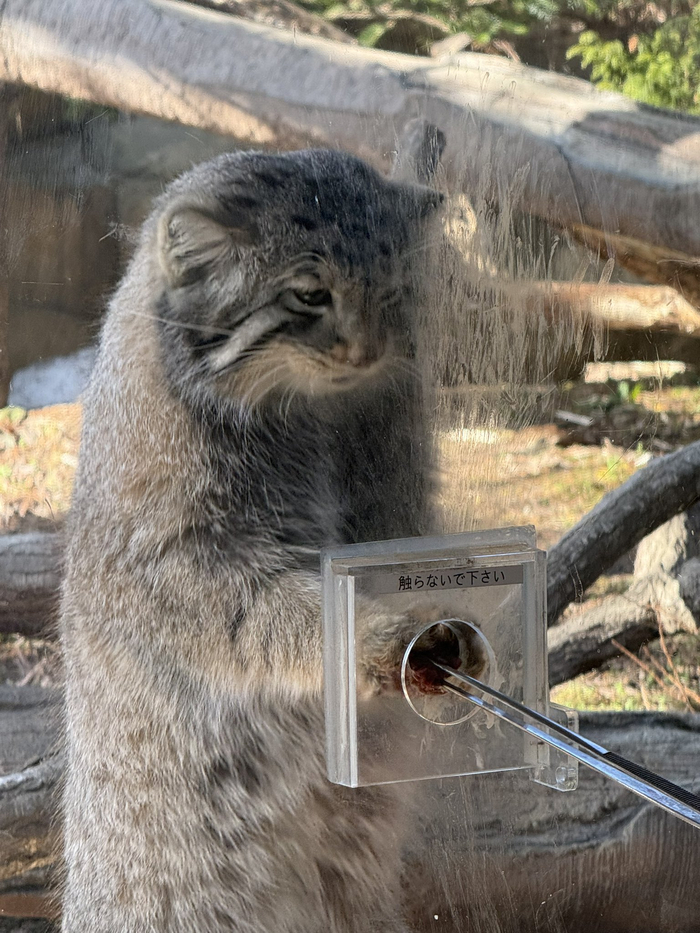 �������, �� ������...