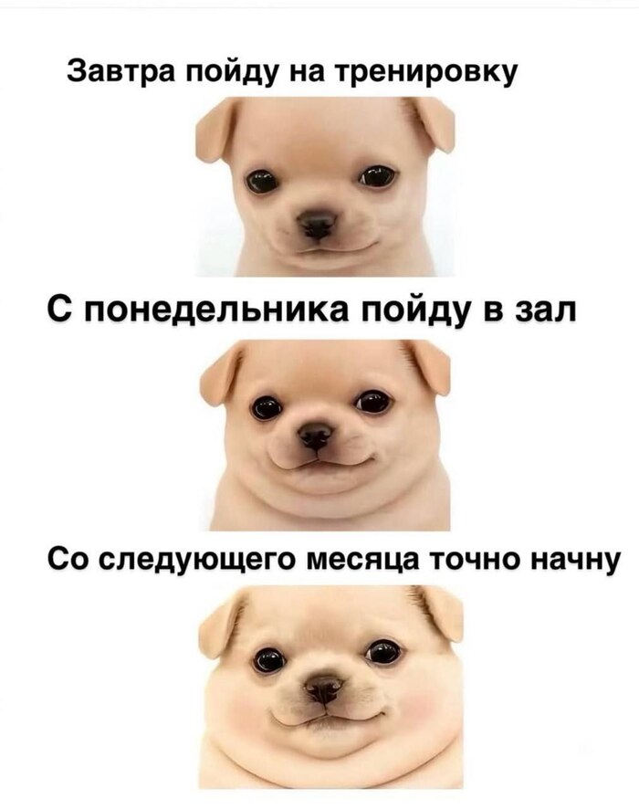 �� ����������