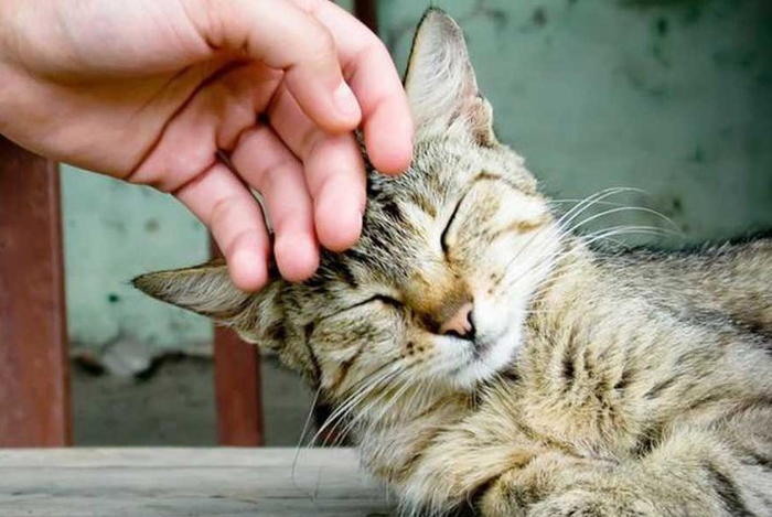 (��� ������������� 15 ������ �����)