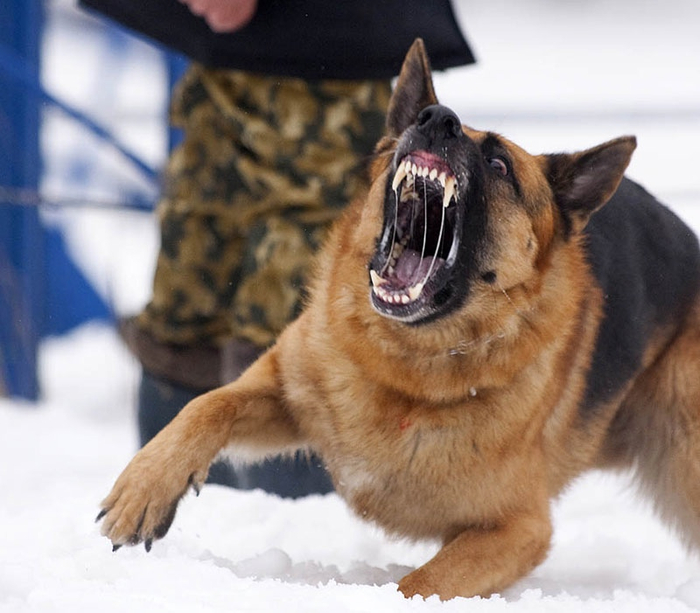 �� �������, ����� �������� ��������� � �������� ��������� �������?