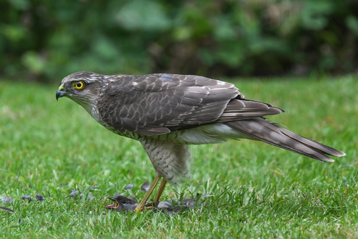 �������, � �� �����!!!