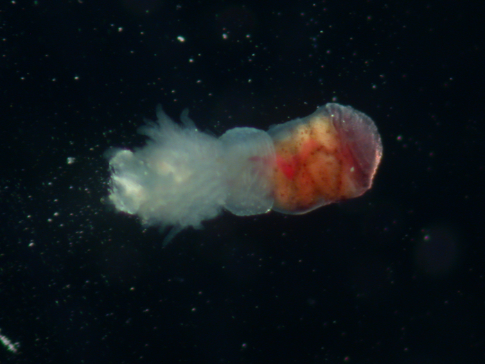 ��, ��� �����, ������� �� ������ ���� � ����� �������� ������ ����� �� ��� ��� �����.