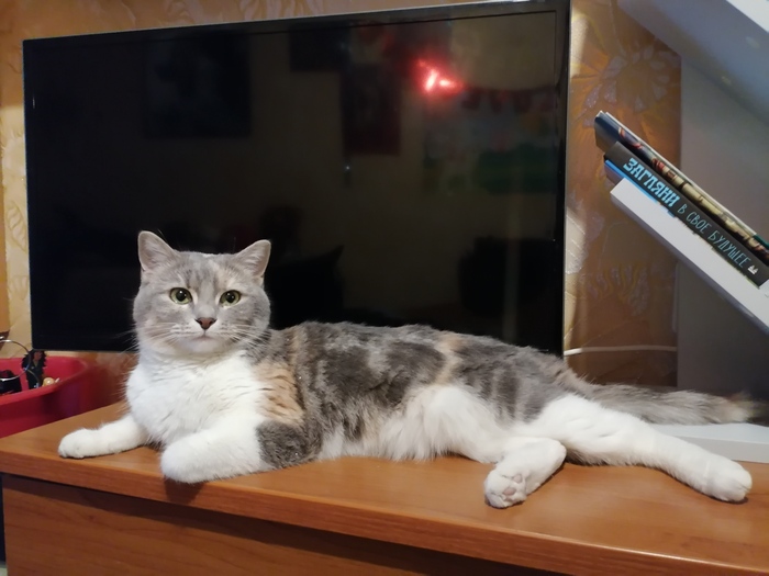 �������� ����, � �� ���������...