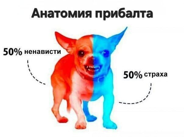 "�� �������� ����� �� ���������� ������ � ����� �������� �������� ����� ������ ������" - ����� ���������� ���