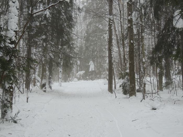 Снято в Московской области, Сергиево-Посадском районе на Nikon Coolpix P510