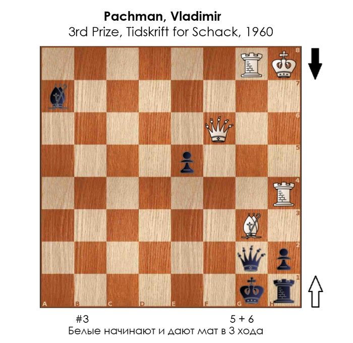 ������������ #240