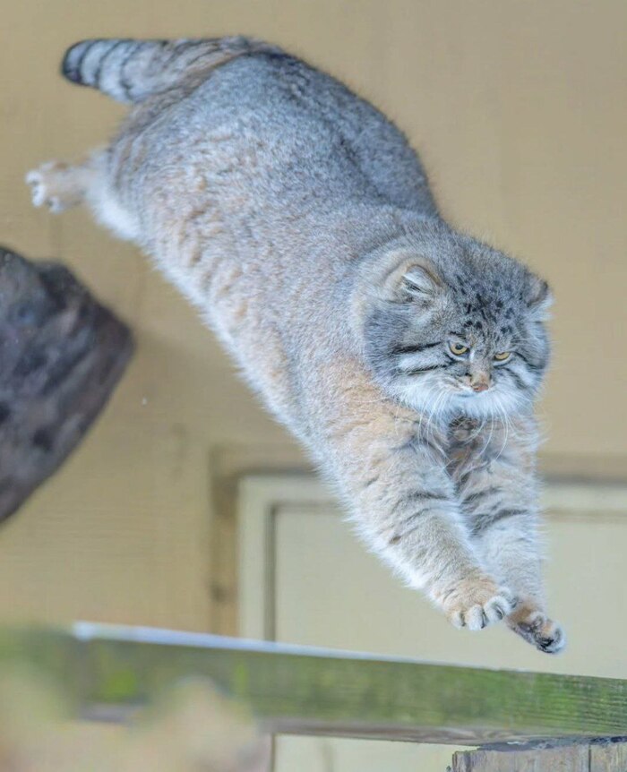 ����� �����