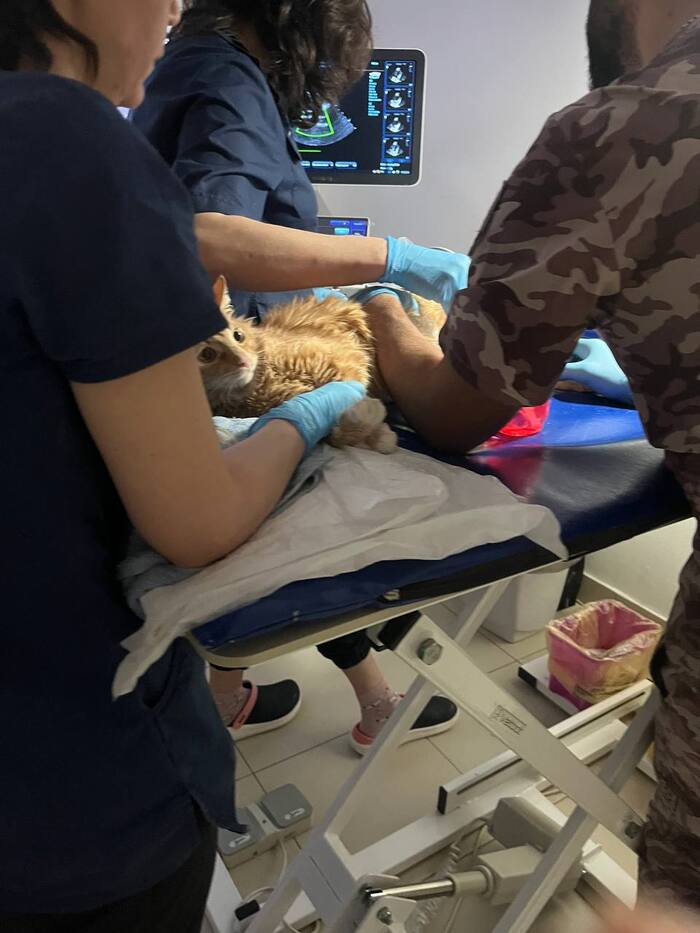 ����� �� ����� � �����