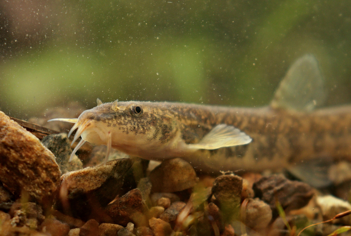 � ������ � ��� ������ ����� ��� ���. ����, ������, ������.