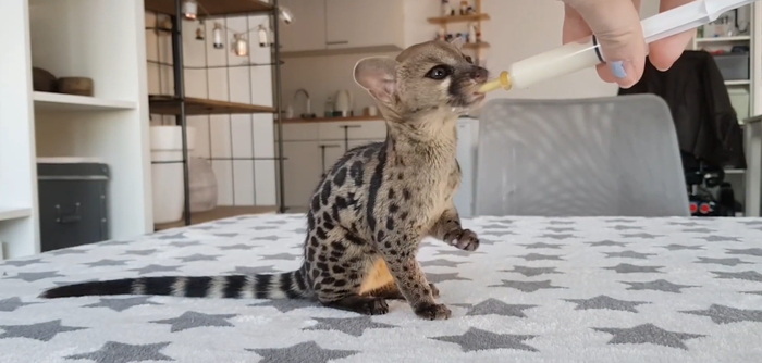 �������, ������ ����� ����� �������� ���� � �������� ������������ ��������. ���� ������, ������, ����� 60-120 ����� ������.