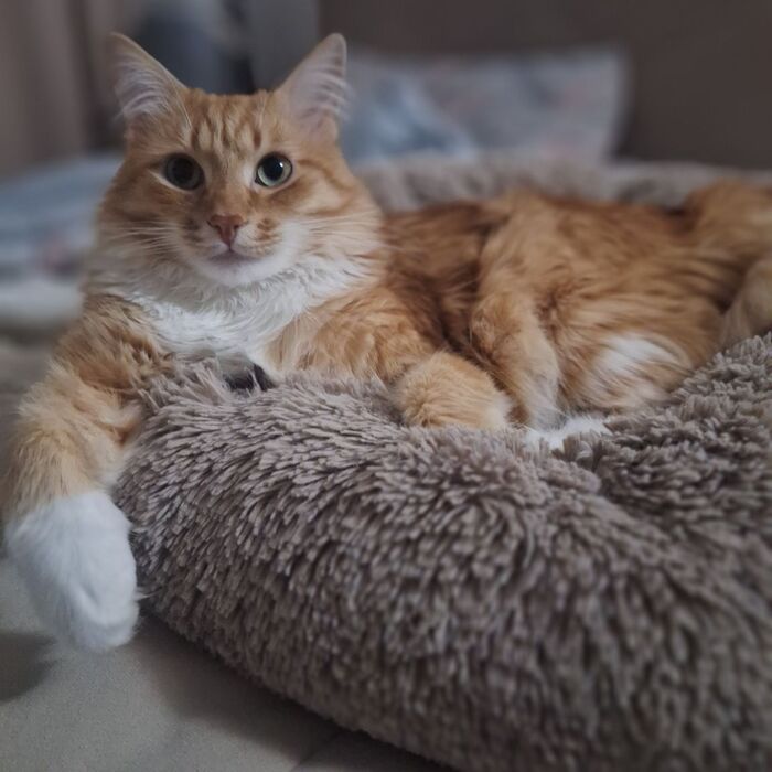 ������ �� ���� �� �������, ������� �������� � ����� ����������� ����� � ������ ��� � ����