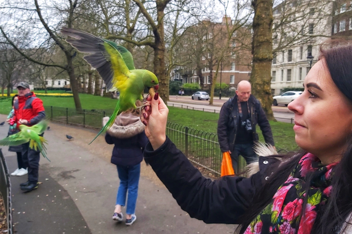 �������� ������ ���������� ������� ������� ���� ����-������, ��� ��� ��� �� ������ ����� ��������.