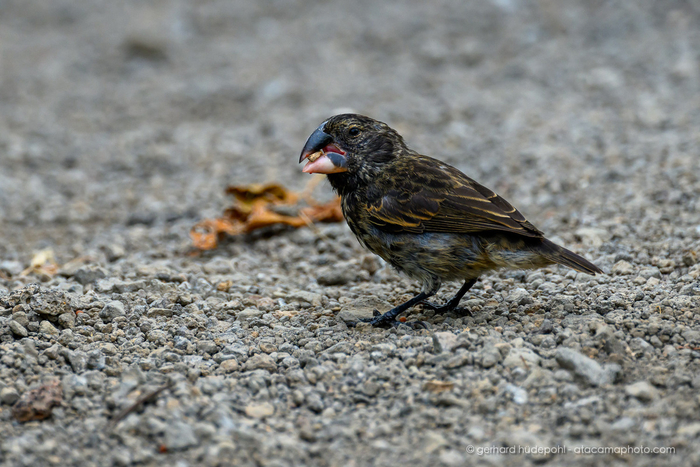 ��, � ������. ���, � �� ����� ����� ��� �������.