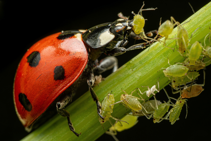 ����� ������� � ����� ������ �������� ���� � ������ ���������� ���������� �� ������ ������.