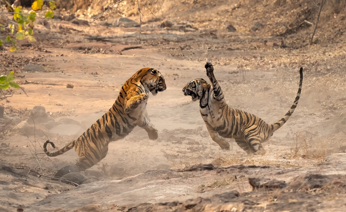 �������� ������ �� ���������� ��������� �����. �� ������, ��� �������� ������ ����� ��������� ����� ���������� �����, � �������� �� �����������.