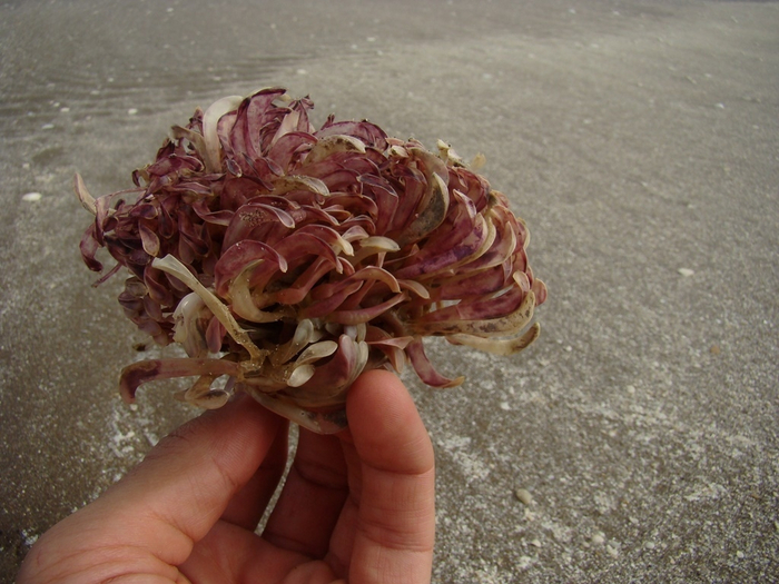 ��� �� ������� ��������, ��� ������� ������.