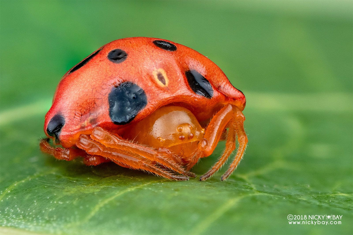 �����? �� ���� ������� ������. ��� ������ �, ������ �������� ����� �������!