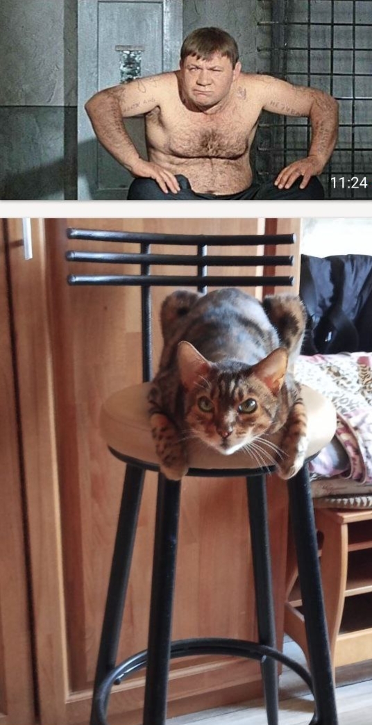 Реинкарнация Доцента