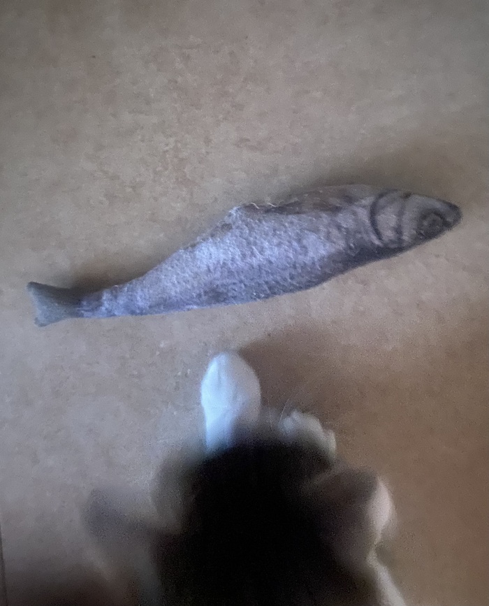 ������� �����, ��� ������ ������� �� �����