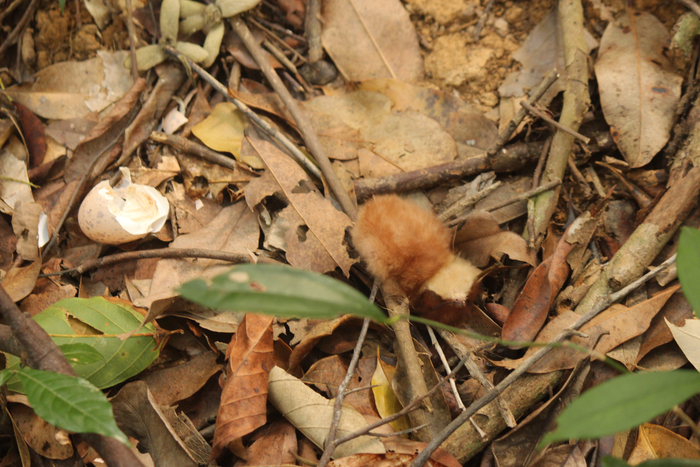 ��� ���� ������� ���� � ������ �������.