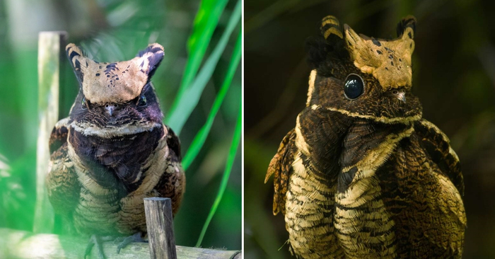 ��������� ����� �����: ���� ��������� ��������.