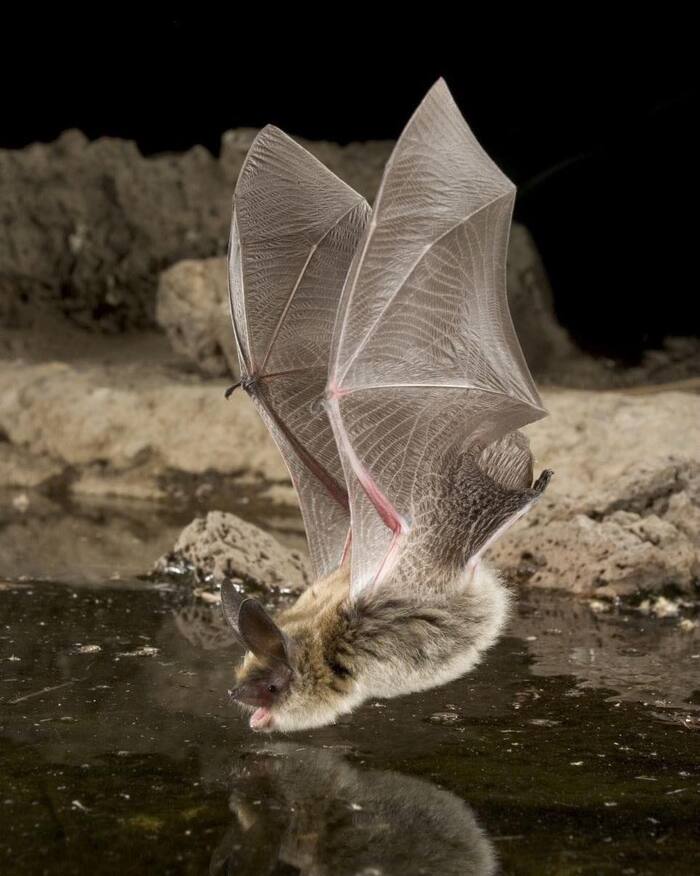 "Надо спуститься где-то, выпить воды"